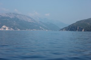 Tittar man noga kan man se stjärtfenan på en delfin